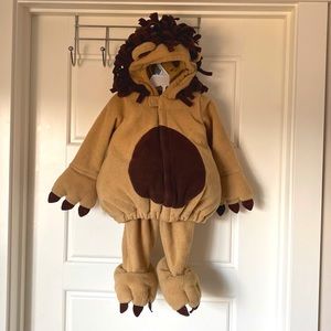 Baby Lion Costume